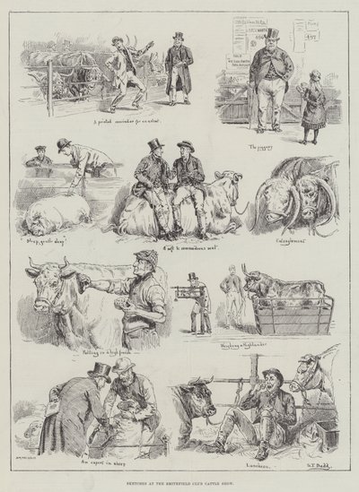 Croquis au Smithfield Club Cattle Show - S.T. Dadd
